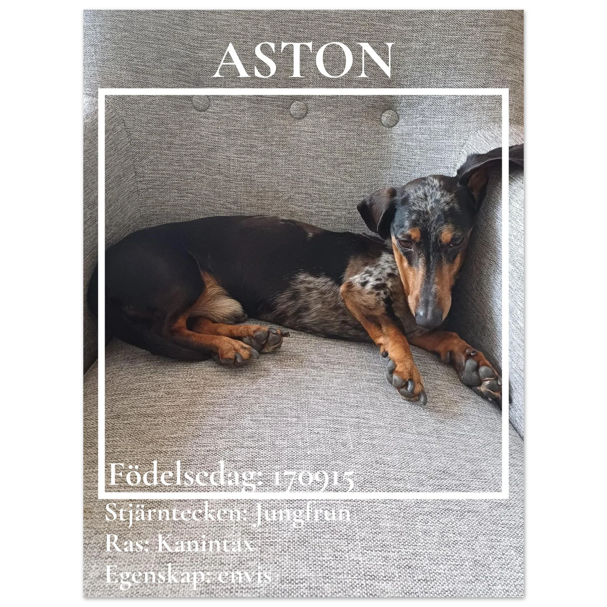 Personlig poster med eget foto och text, presentbild