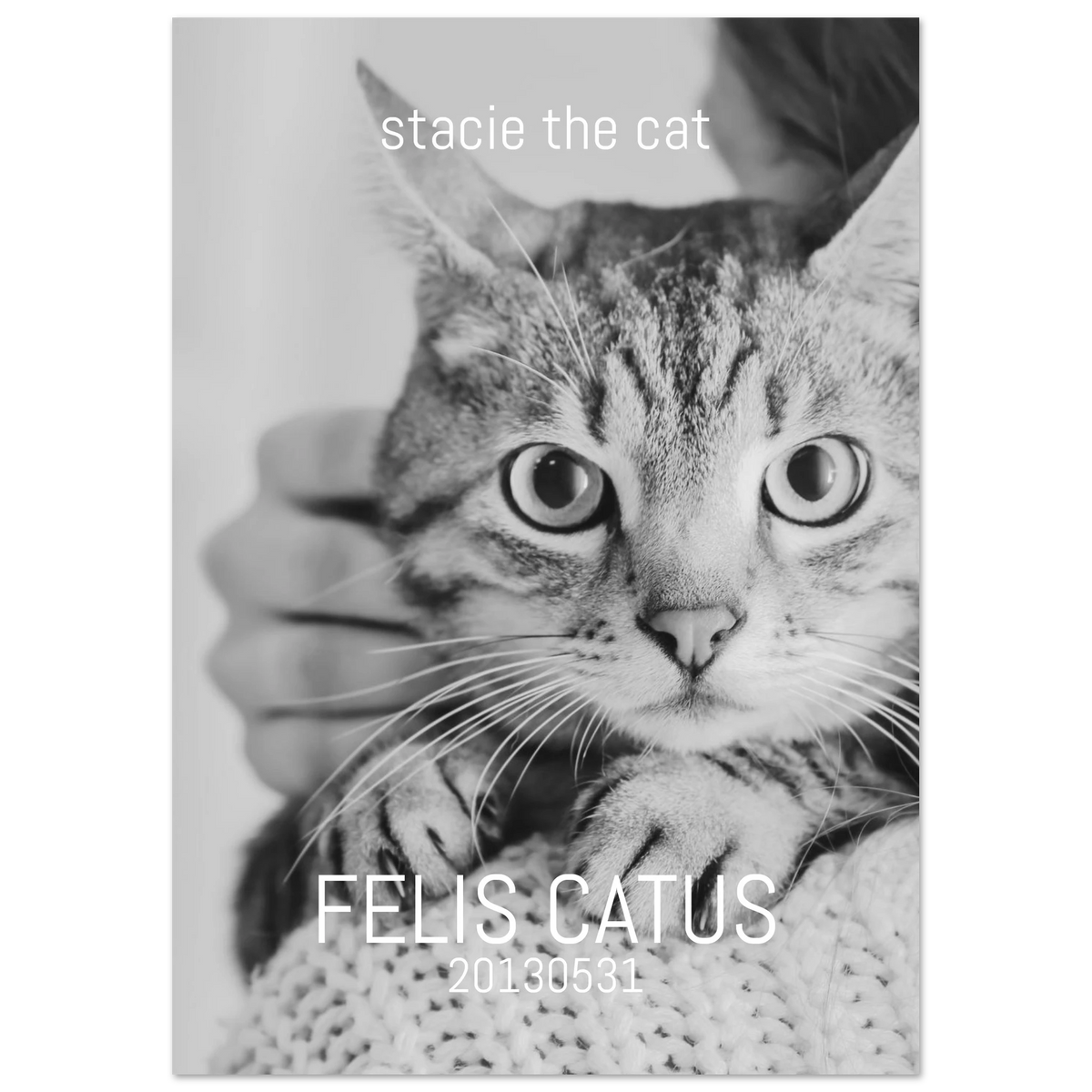 edcb9fc4-786e-4439-9b4e-cce7d401e64d